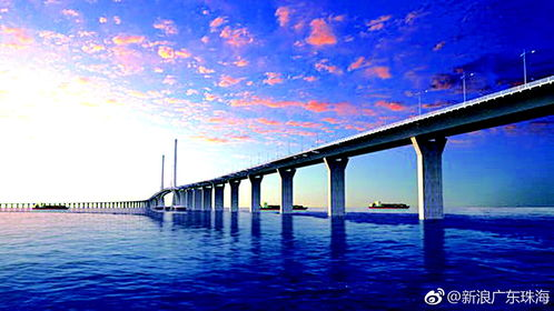 秋霞八妻子电影网简介