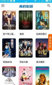 青柠电影网简介