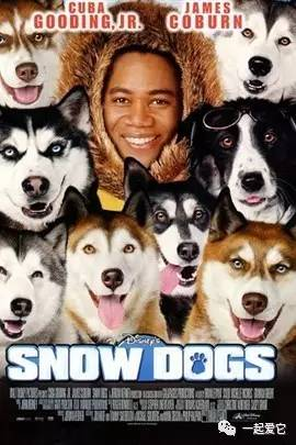 大狗狗电影网简介