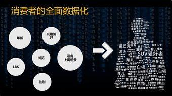 精准定位与广告效果