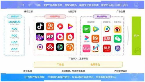 快播理论电影网的版权问题