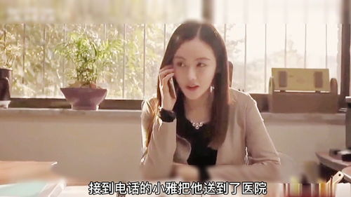 爱情电影网aqdy青山葵简介