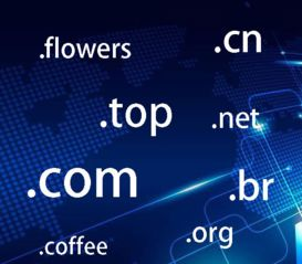 二级域名的安全性考虑