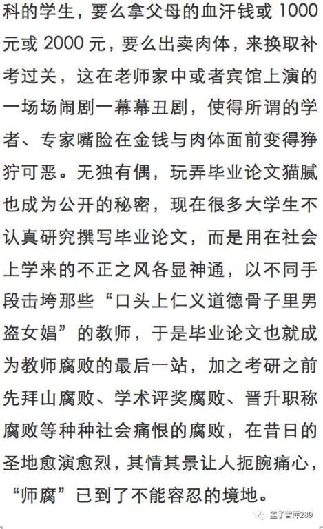 鲁丝片的定义与特点