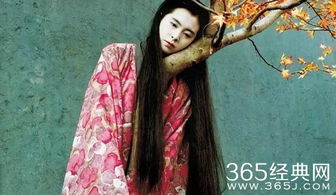 青山葵电影的艺术价值