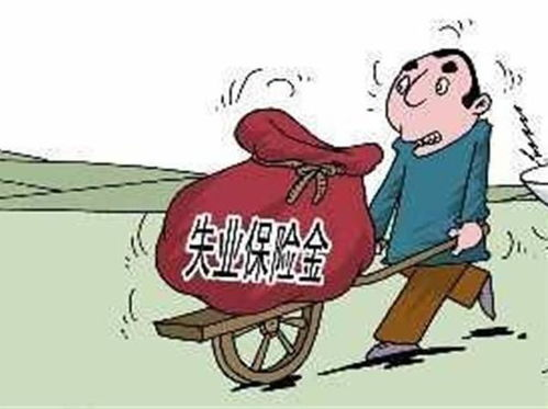 失业保险的基本概念和作用