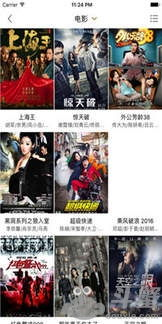 八妻子秋霞电影网简介