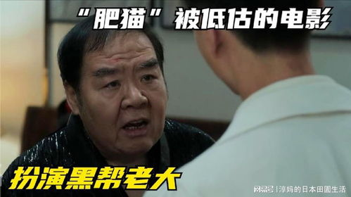 肥猫电影网简介