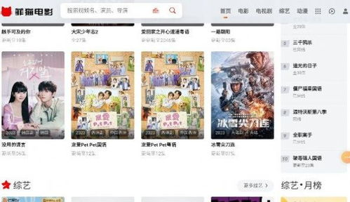 肥猫电影网的社区互动