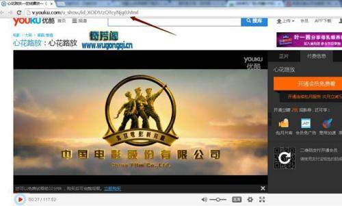 VIP免费电影网站的安全性问题