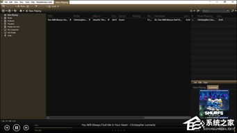 使用专业的视频播放器