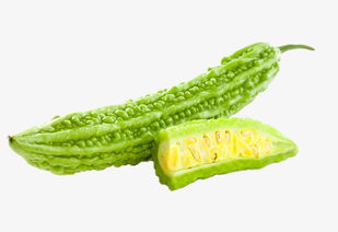 苦瓜电影网1313简介