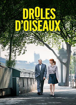 苦瓜电影网1313的特点