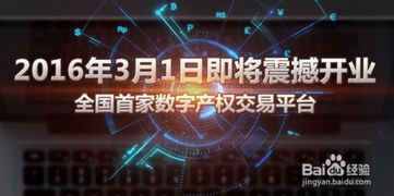 1080p高清电影网的版权问题