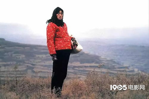 秋菊电影网简介