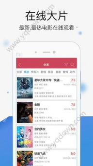 豆花电影网概述