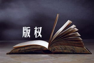 版权问题的重视