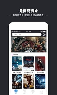 豆豆电影网的社区互动