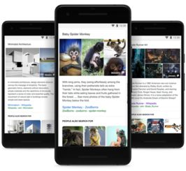 搜索与推荐功能