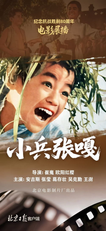 小兵电影网简介