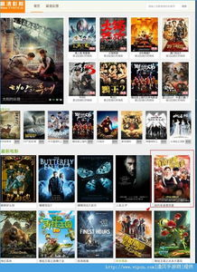 YY4410电影网概述