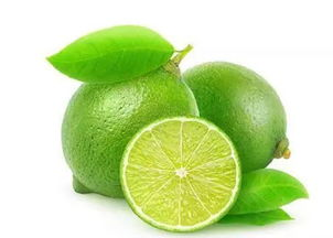 青柠檬电影网的资源种类