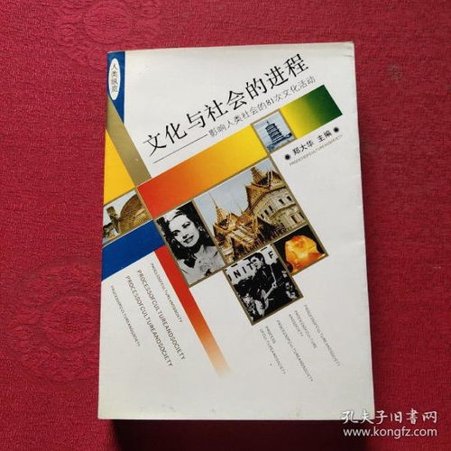 社会影响与文化传播