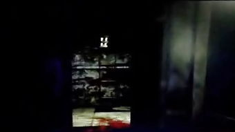 2046电影网的社区互动