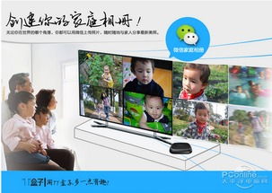 如何选择合适的最新电影网址