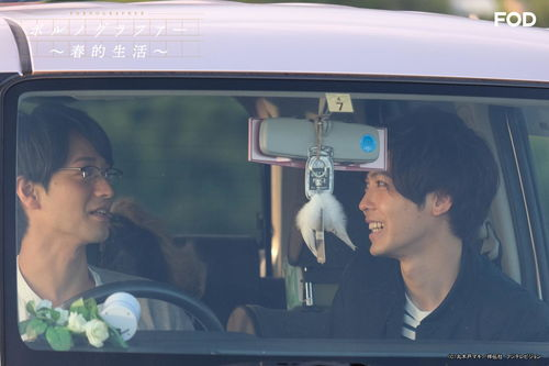 老司机电影网的更新速度