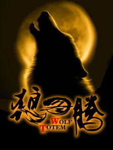 狼狼电影网简介