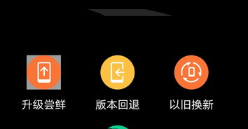 新版入口的会员服务