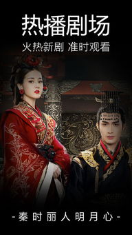 七七铺电影网简介