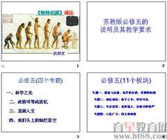 引言：1905电影网站的起源与定位