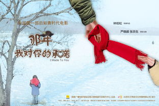 电影网的定义与起源