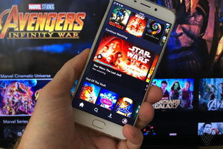 抢先版电影网站的未来