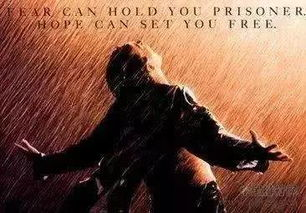 欧美R级电影的定义与分级