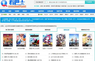 大片电影网址的附加功能