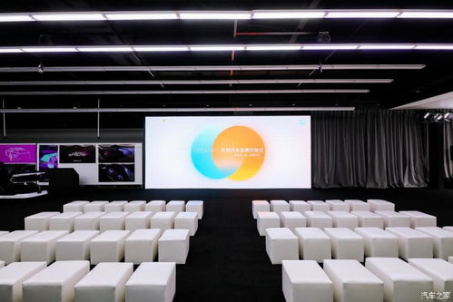 新飘花电影网app的用户体验