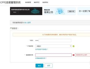 4. 选择网站域名和服务器