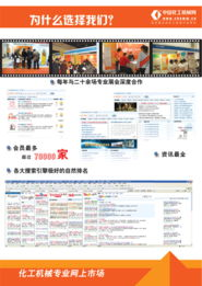 网站特点与优势