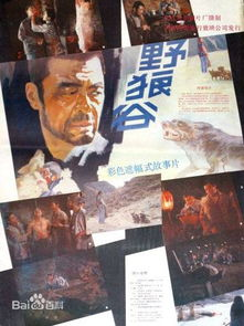 80年代电影网的版权与合法性