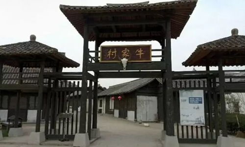 桃花岛电影网简介