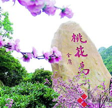 桃花岛电影网的优势