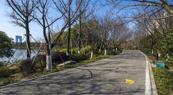 如何使用桃花岛电影网