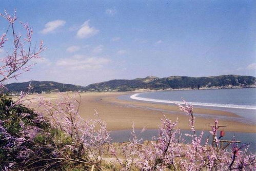 桃花岛电影网的安全性