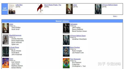 无字幕电影网站简介