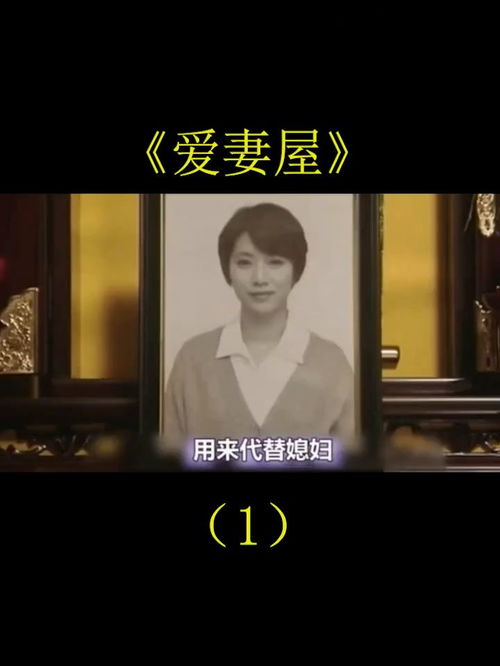 爱妻电影网的资源优势