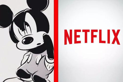 Netflix电影网概述