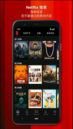Netflix电影网的用户界面